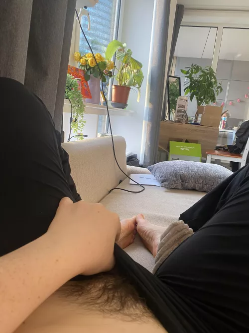 Eat my bush for Sunday roast?