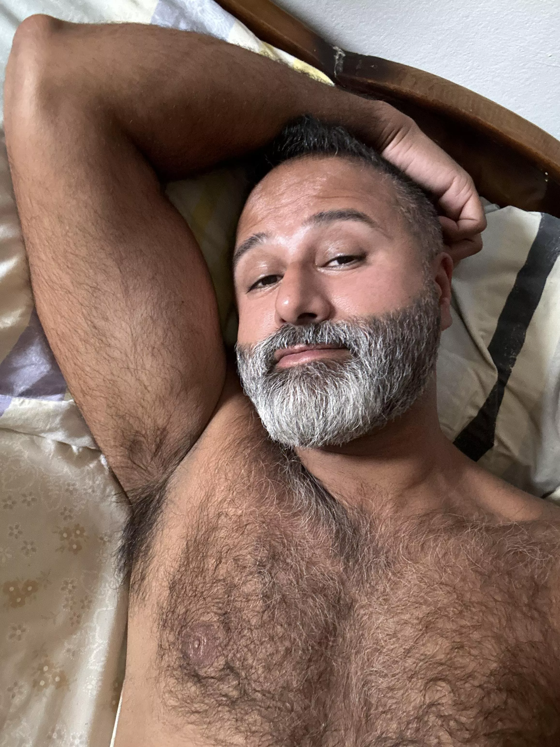 Getting some silver hair, hairy brown man, HMU