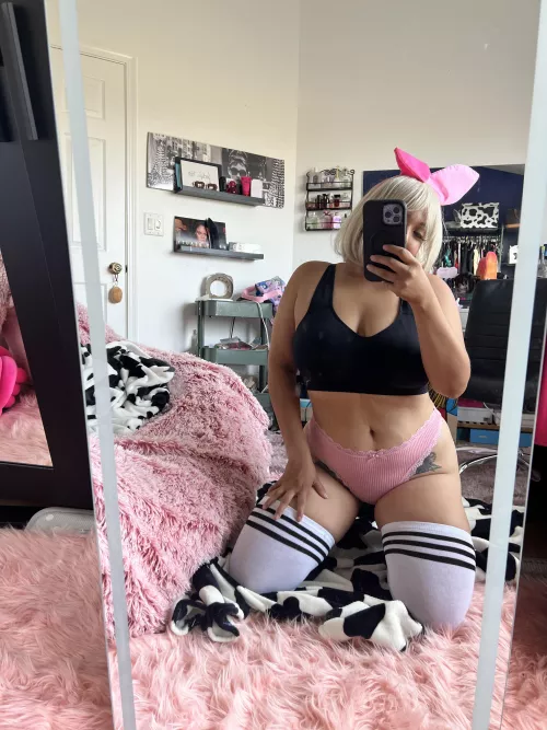 @hiddeninmyvalley chase the magic bunny 