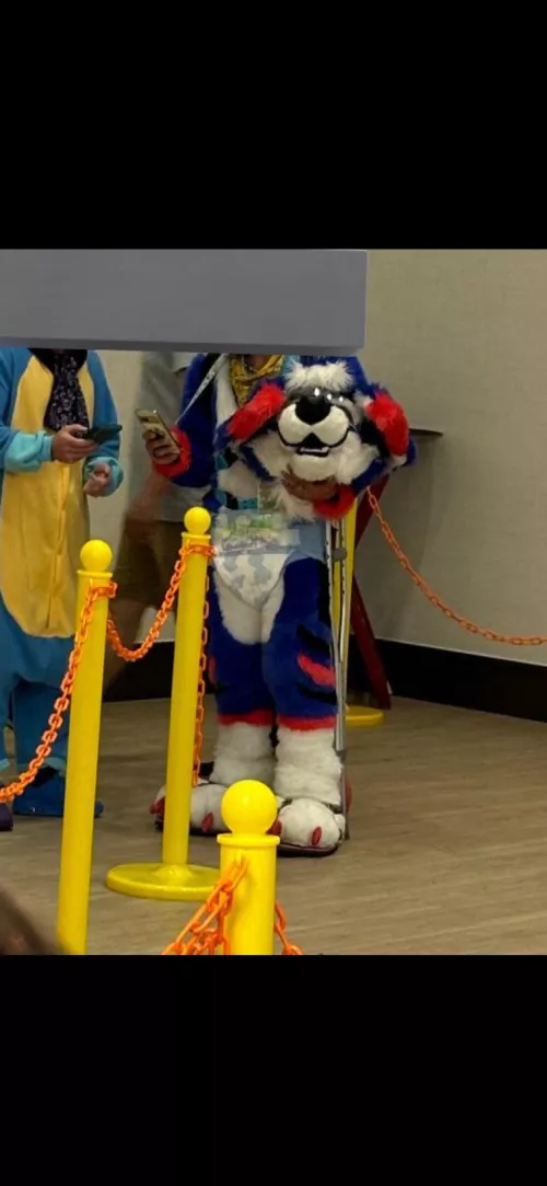 How do you feel about this?