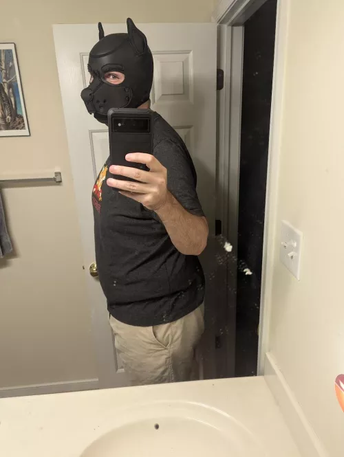 Pup is kind of  feeling himself this Sunday. 