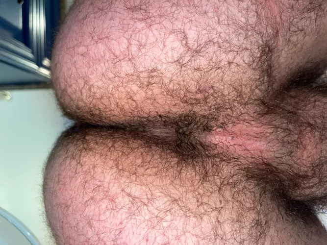 Anyone else got a jungle out back?