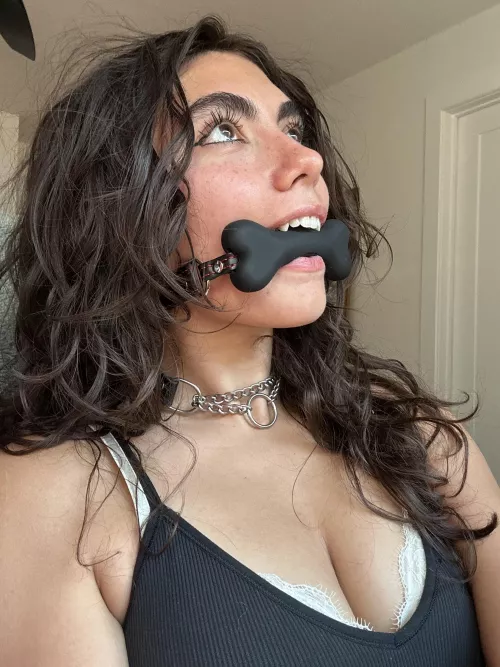 Apparently this is what happens to yappy bitches 