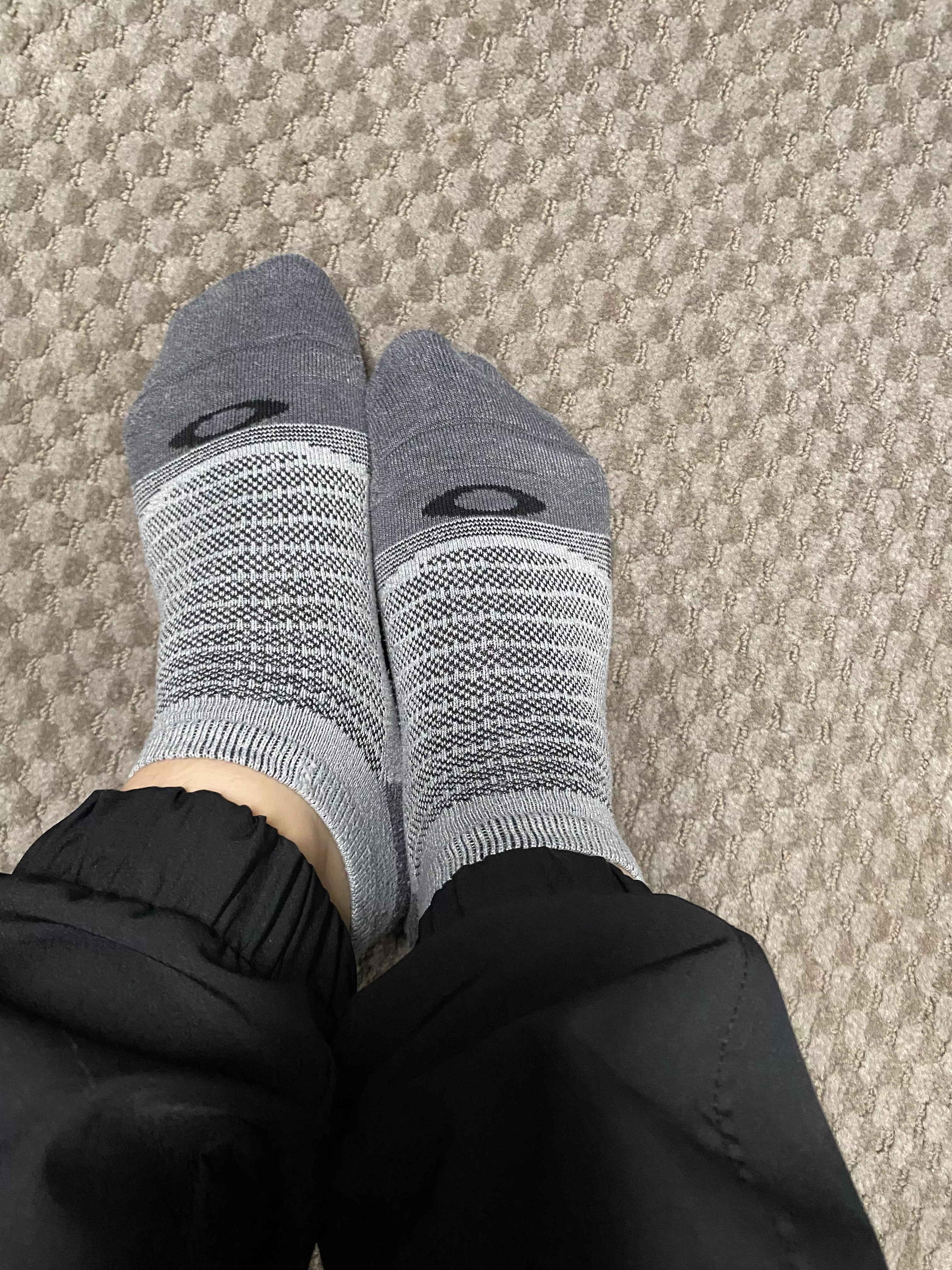 (F) my cute socks today 