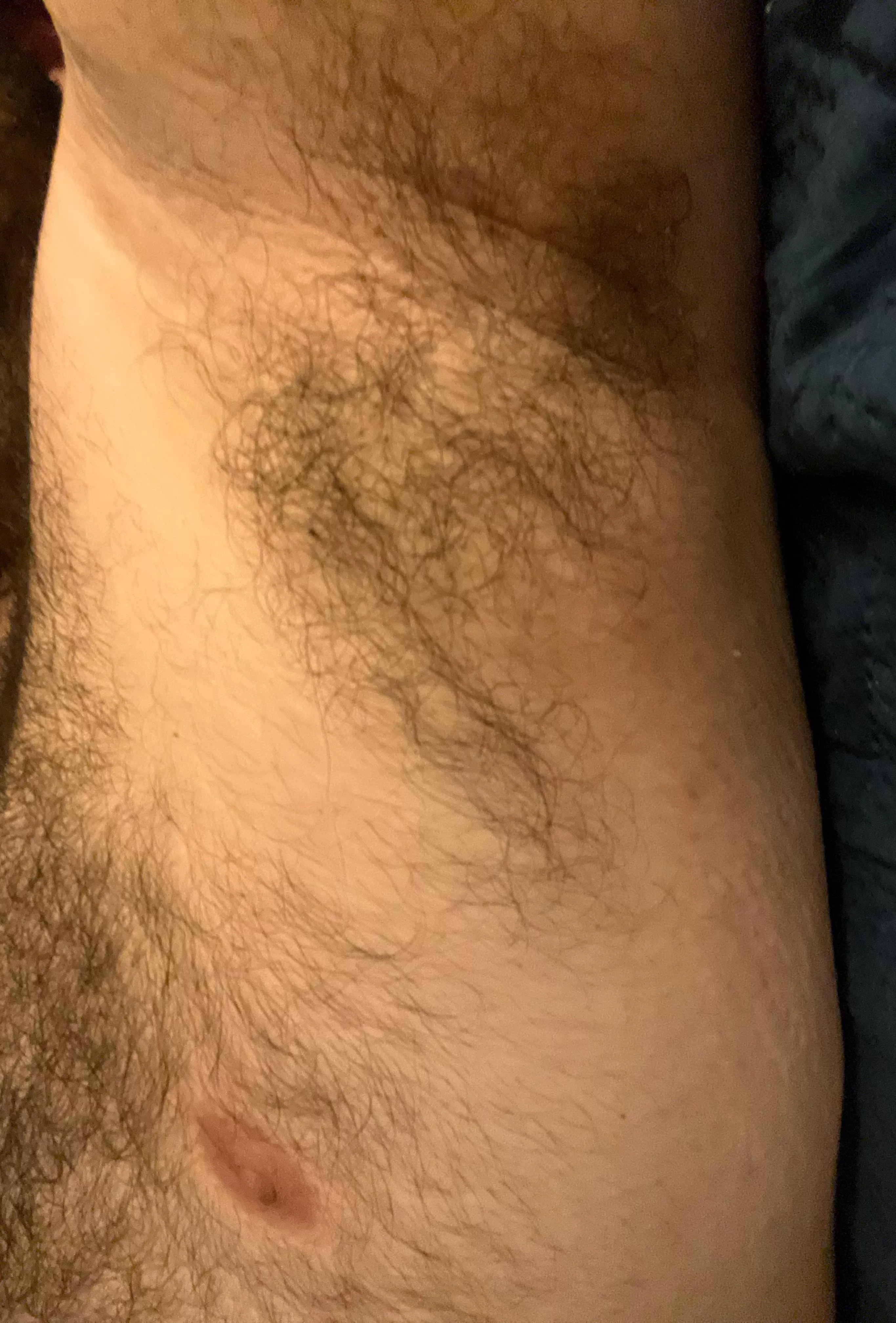 First time sharing my pits. Anyone wanna sniff?
