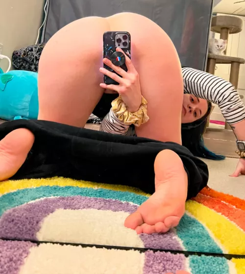 I used the wrong camera on my phone on accident