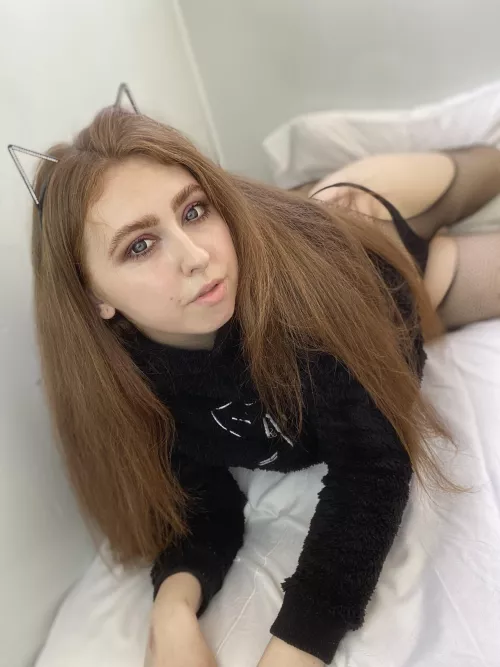 The cat wants to lie around in an embrace and do nothing