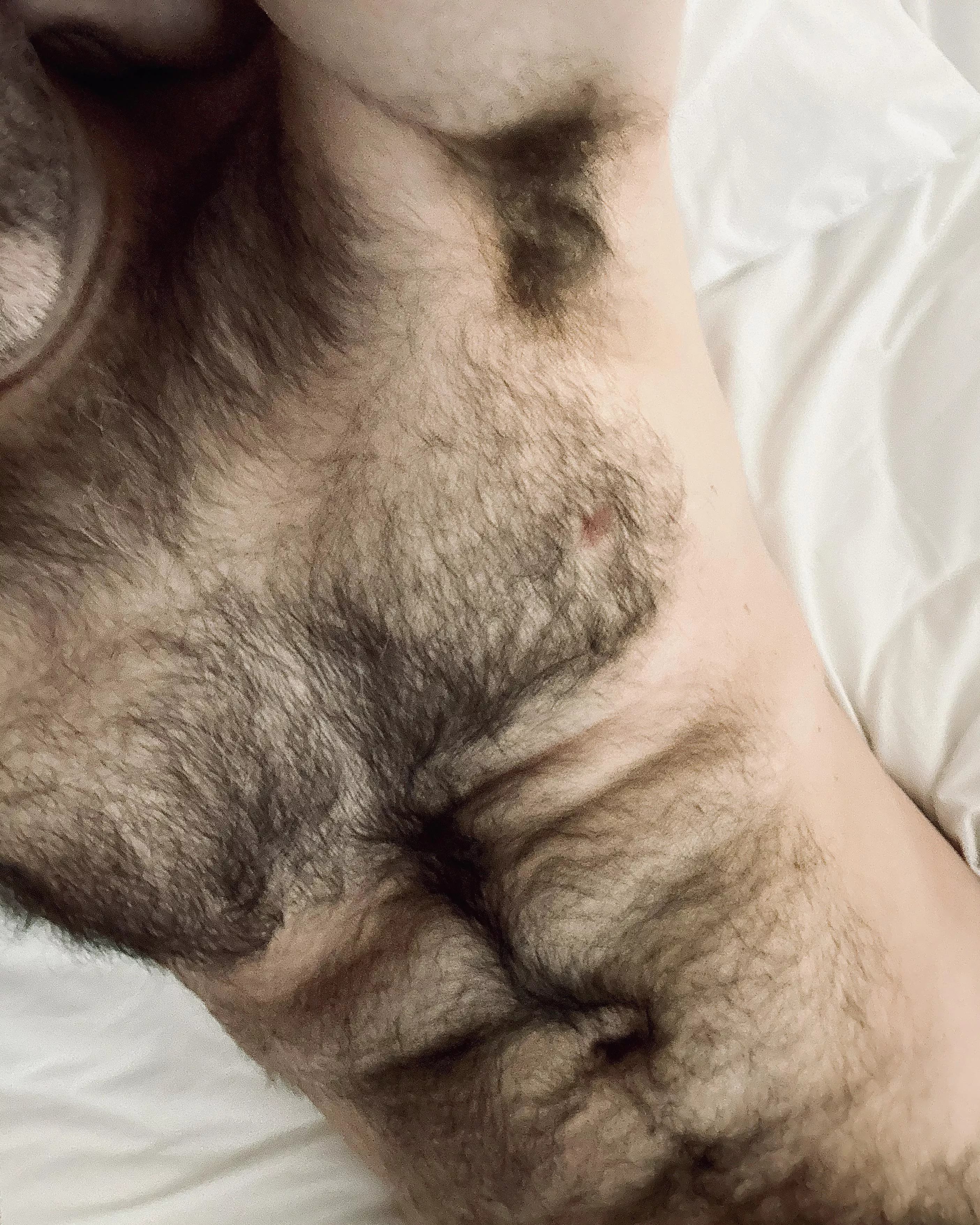 Total debauchery last night...