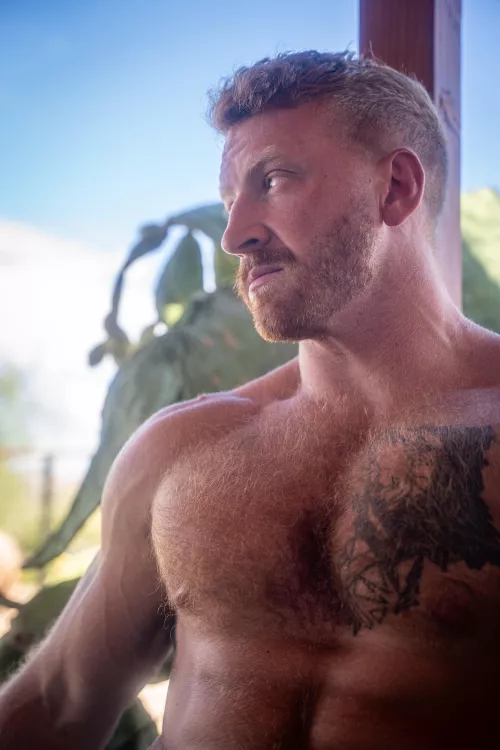 What do you think about ginger chest hair?