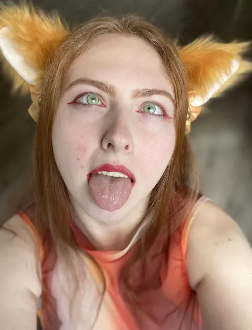 Foxes also need protein, they also get hungry