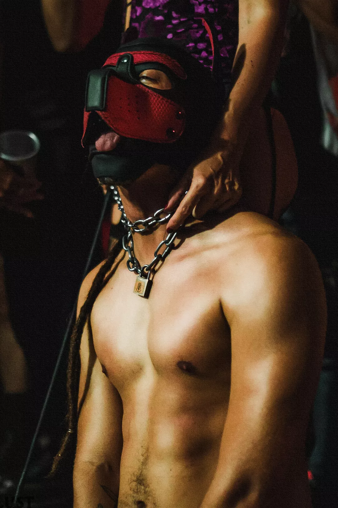 Happy International Dog Day