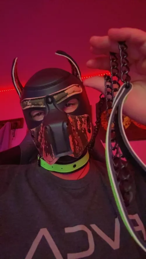 I wanna go for a walk 