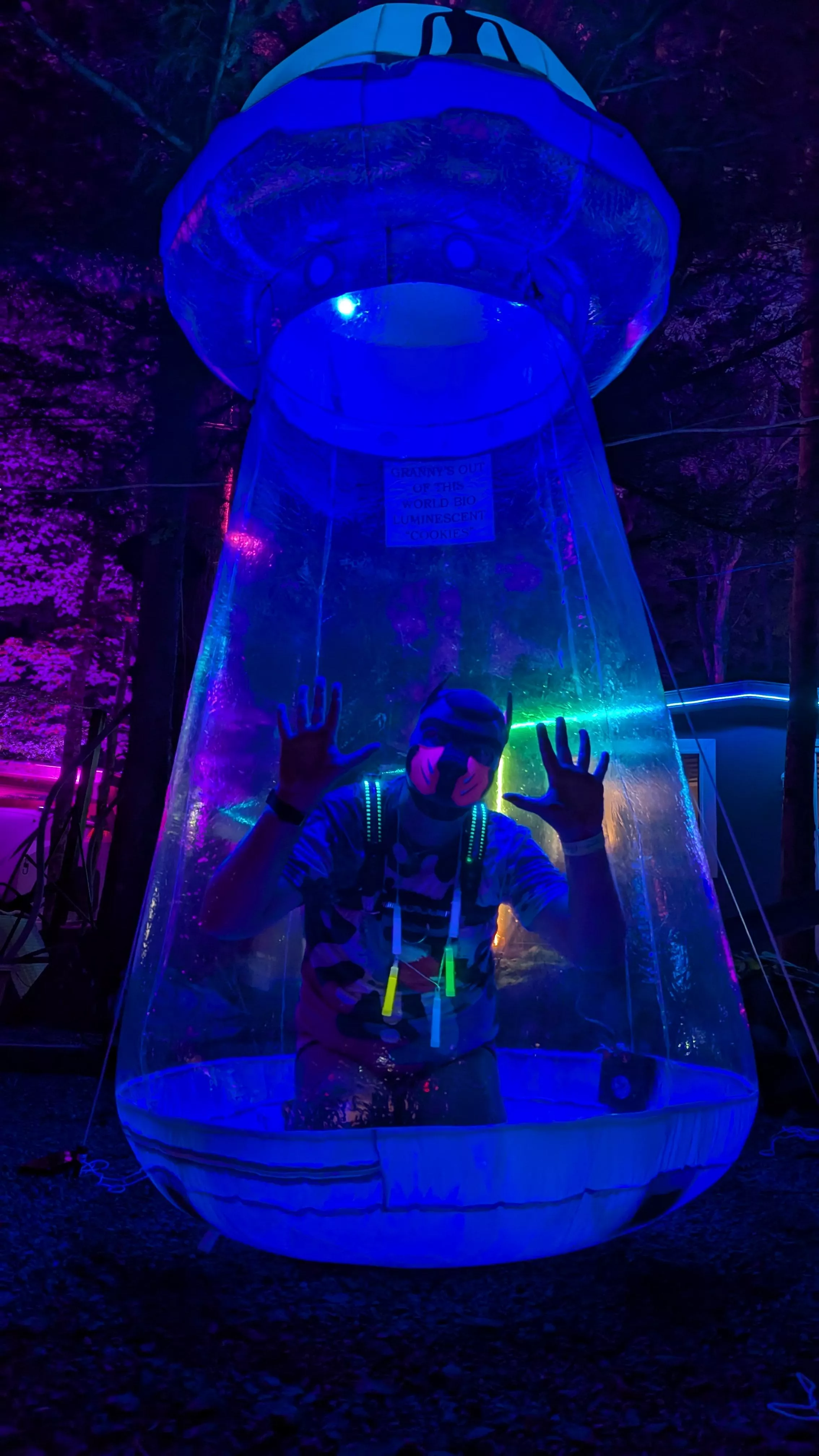 Oh no! The aliens got me!