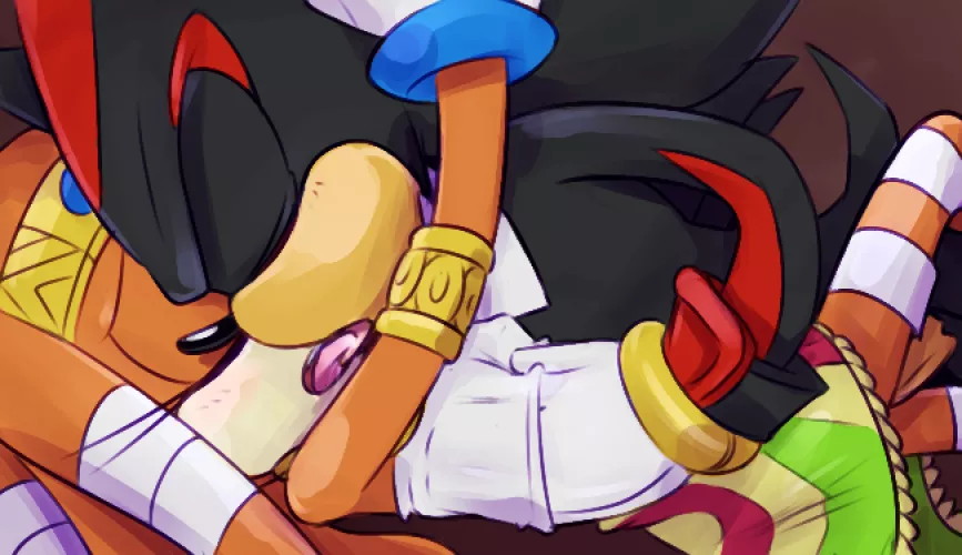 Shadow and Tikal being frisky (Incognition)