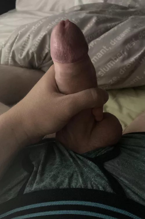 Who wants to play with this? Just woke up 