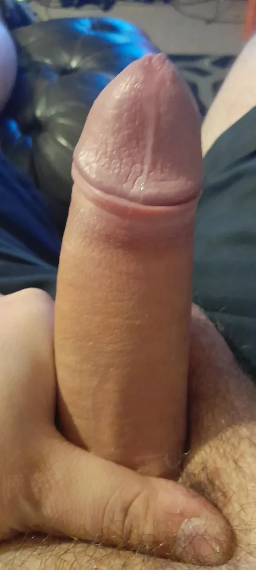 Whose licking it clean ?(30)