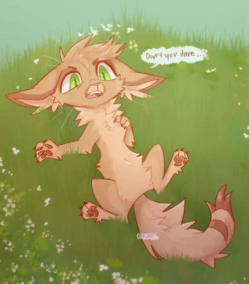 Would you pet him? 🦊