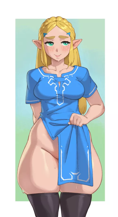 zelda (rizdraws)