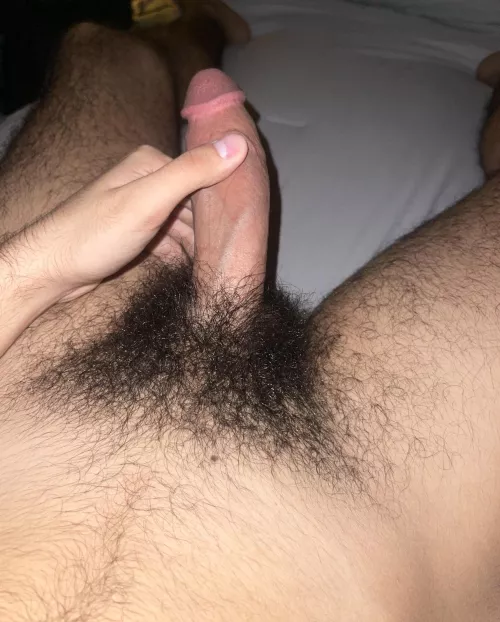 (21) Lil bros add Jaredd_021 cut+++ bush+++ younger