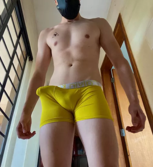 I'll make you smell and lick my bulge before using your mouth