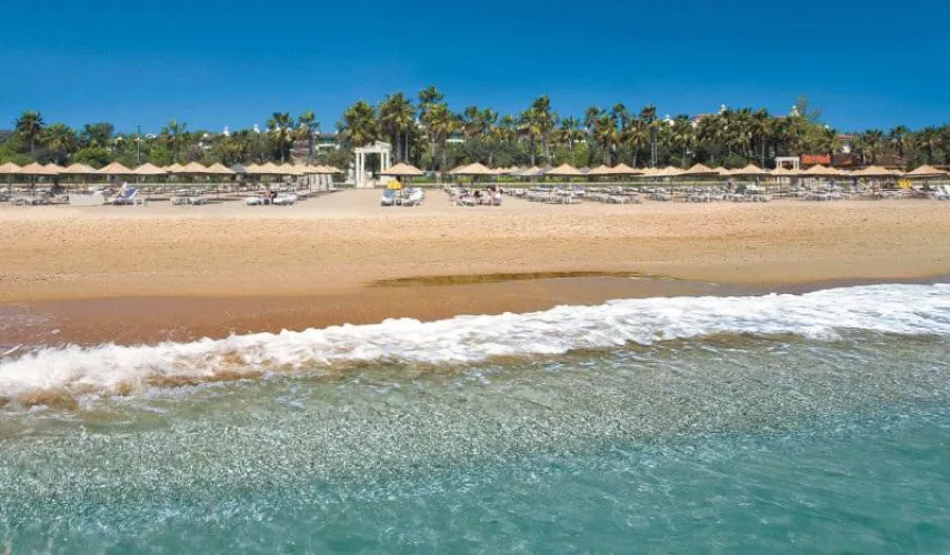 Clear water and golden sand