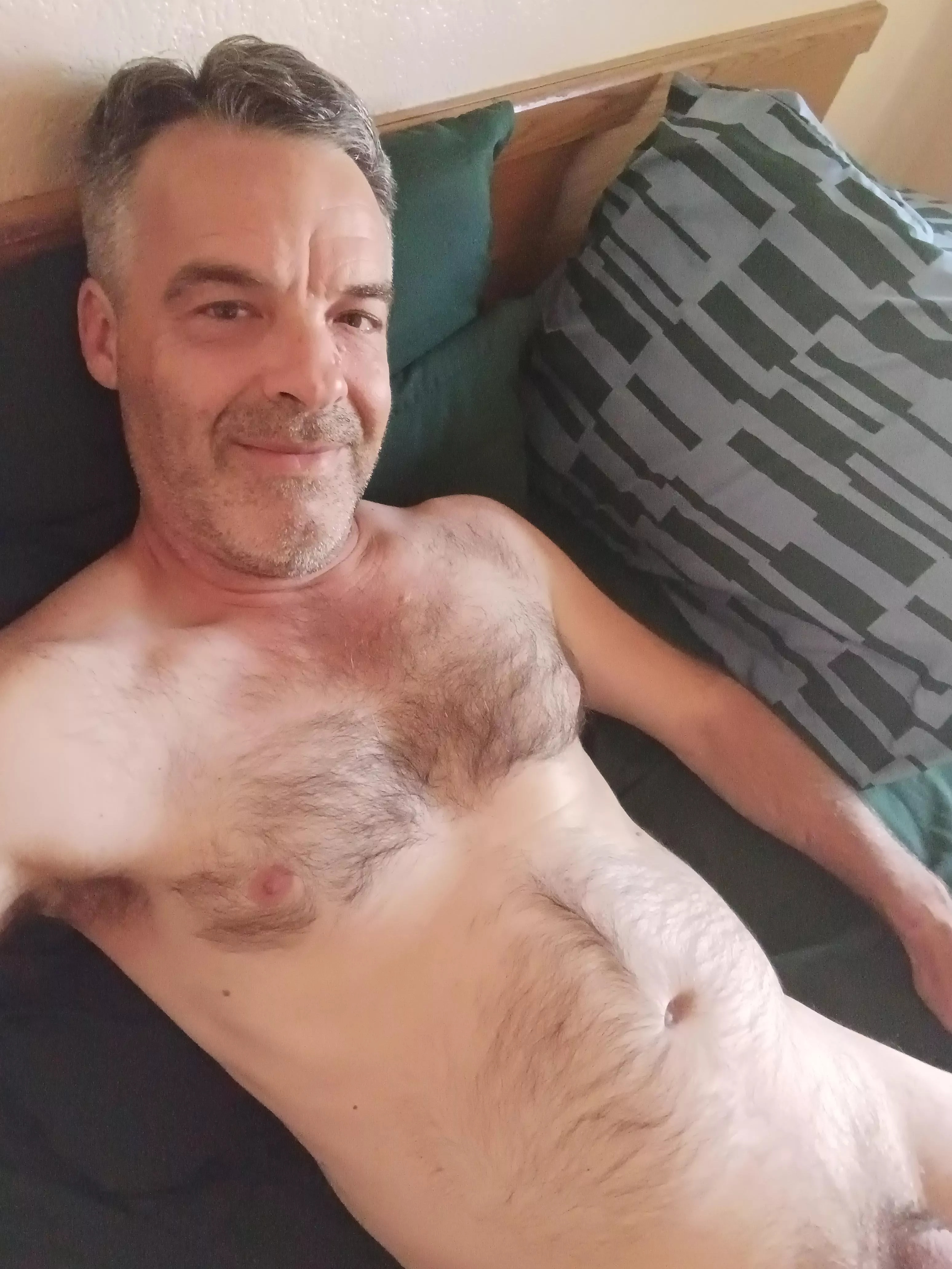 Could a cuddle buddy (53)