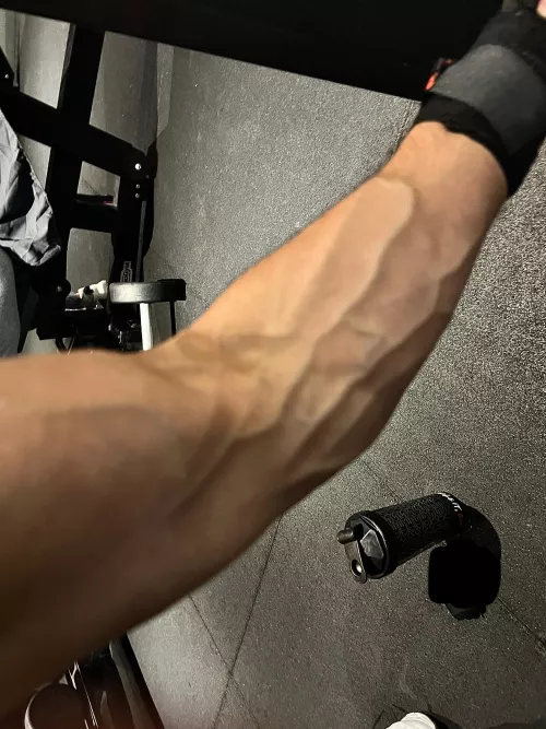 Give me the next witty caption