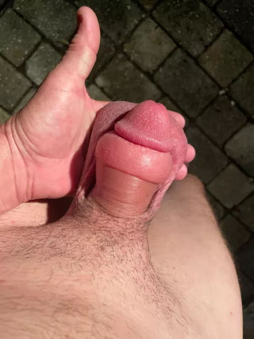 I love a swollen cock