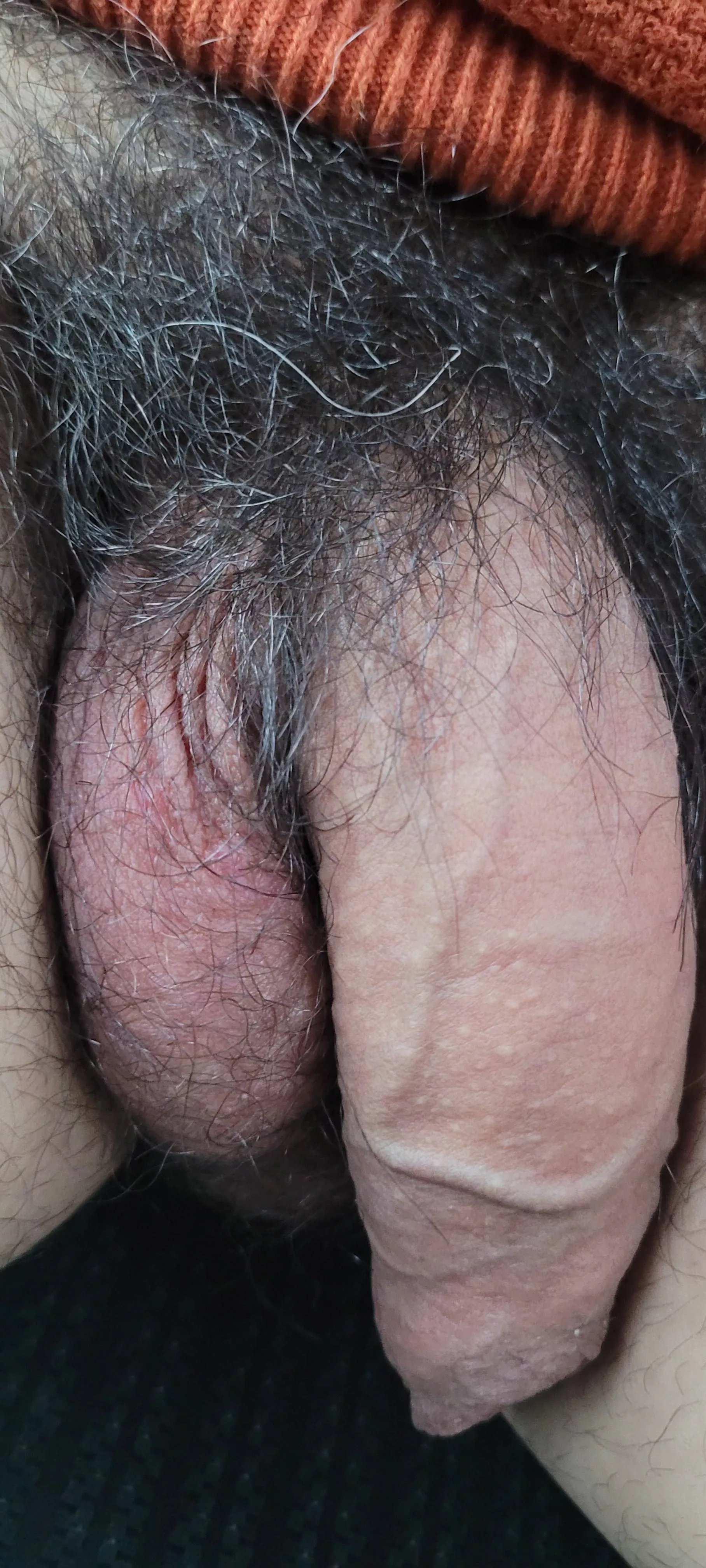 road trip to full bush mode!