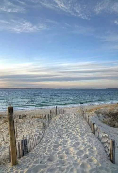 Solitude by the shore 🌊🏖️