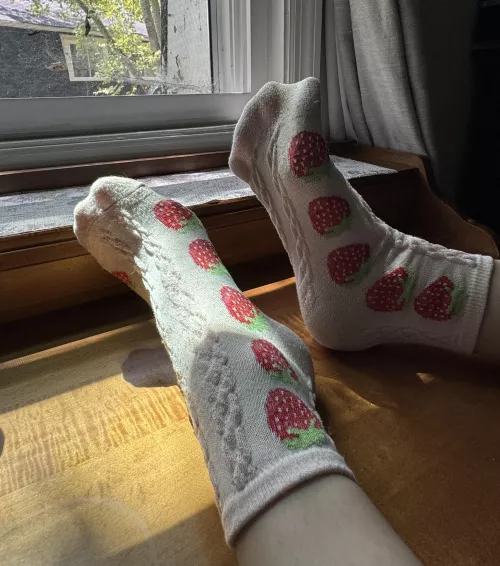 A pair of sweet socks covered in juicy strawberries