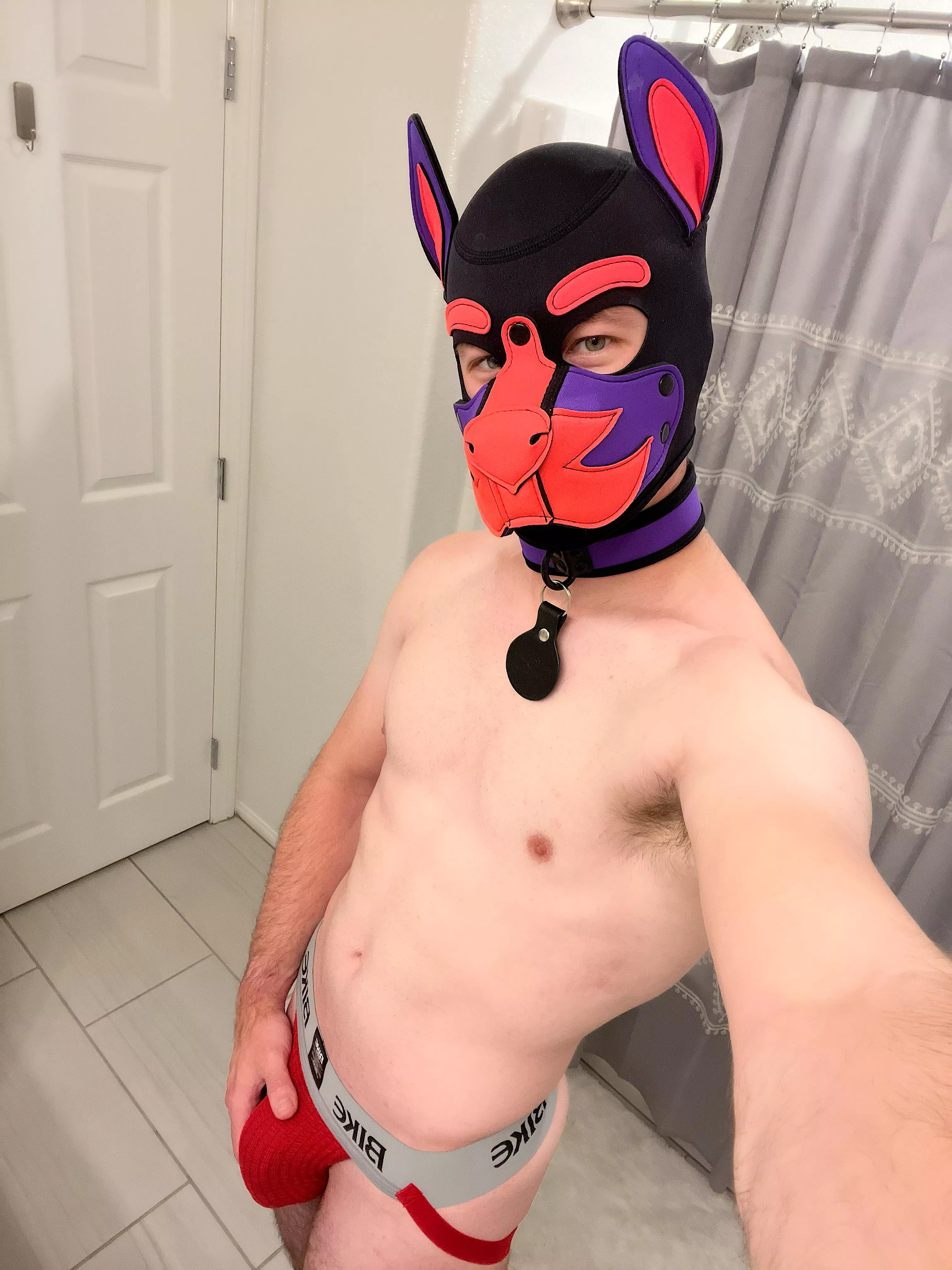 Arf! Got a custom hood for being a good boy