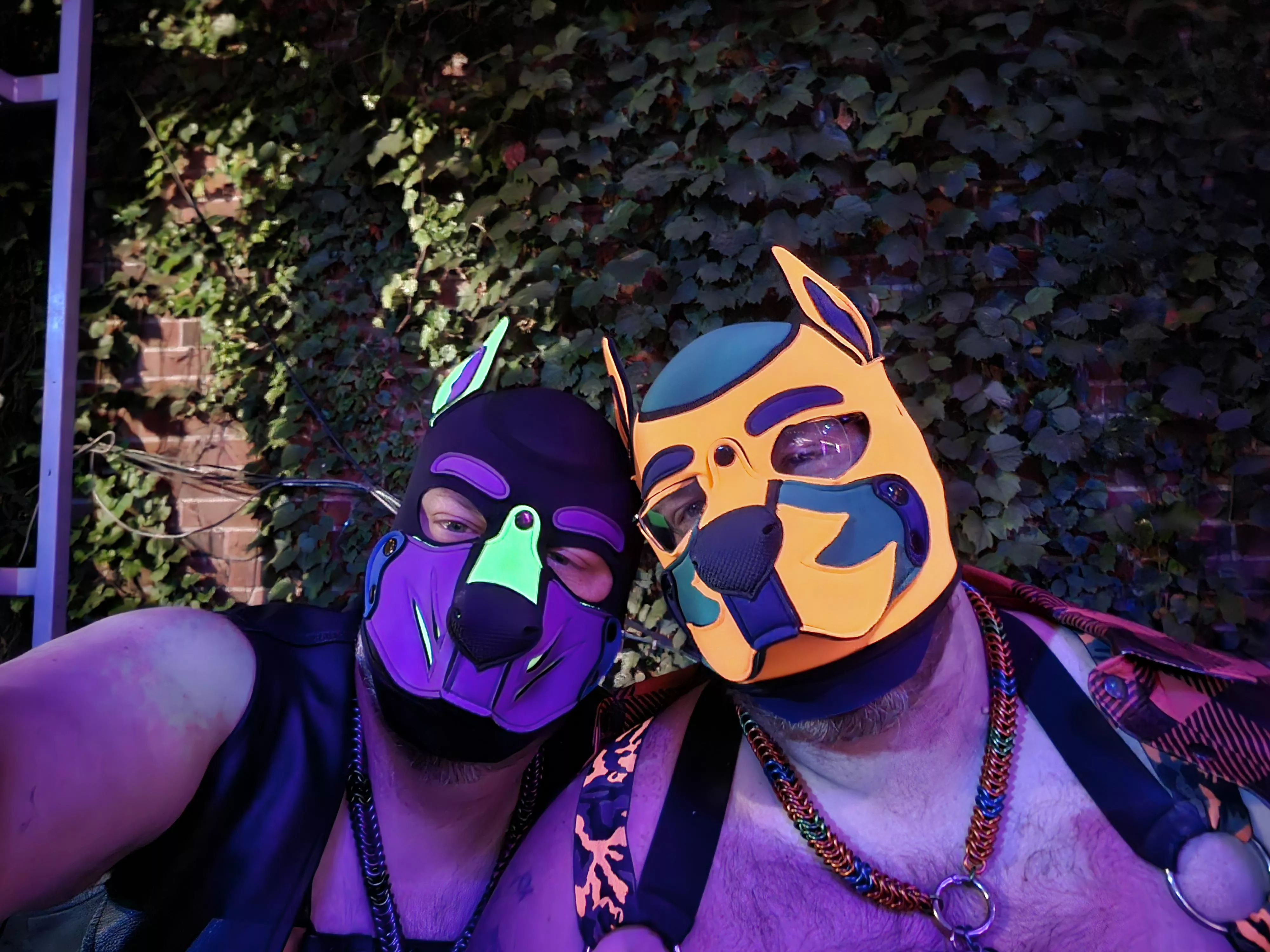 Awruff, adorable doggos?? 💜💚