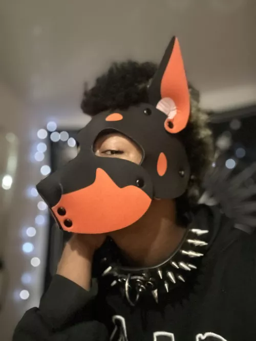 I just got my first puphood!🐾