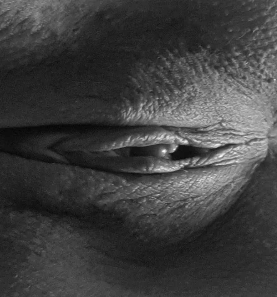 May be a pearl in that shell