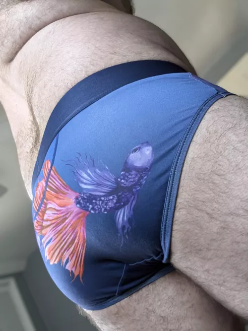 My fish wanted to welcome you to humpday 