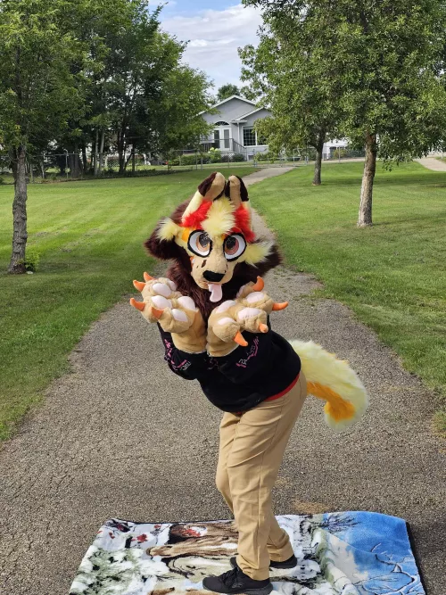 New fursuit!