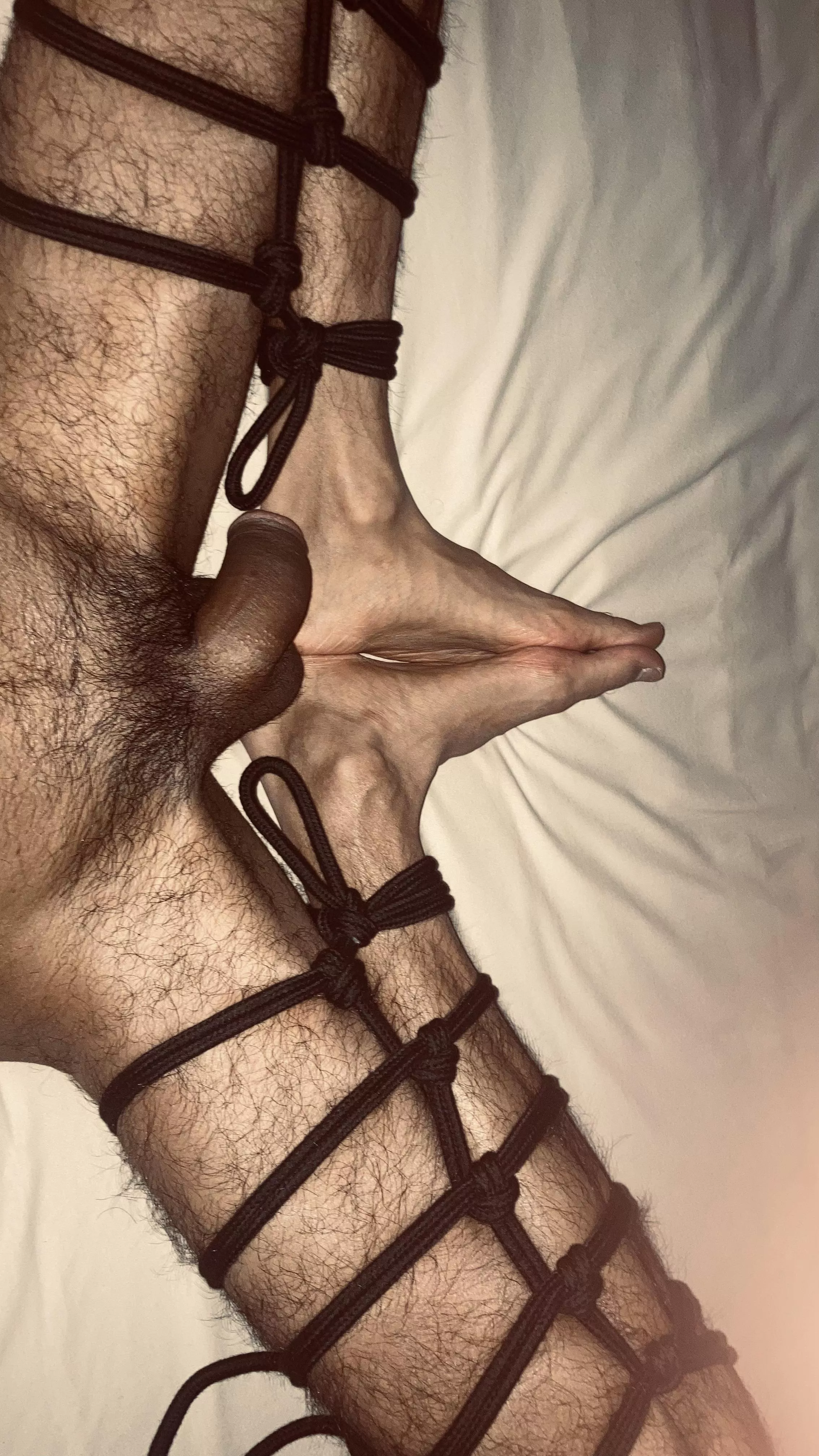 please help I'm stuck 🥺