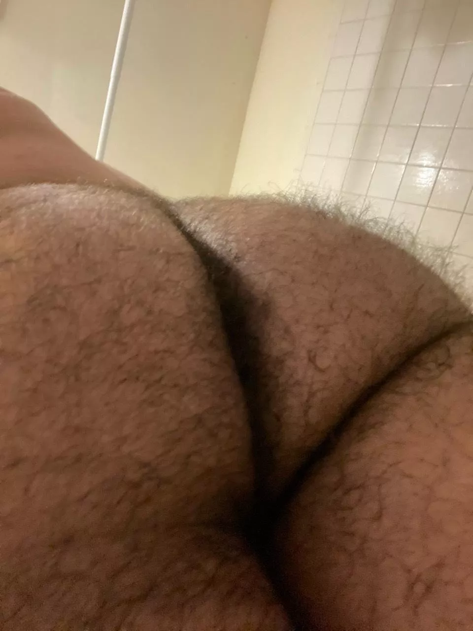 What do you guys think about my young hairy ass? Message me for more 