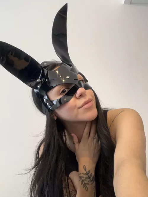 your bad bunny is here 💕