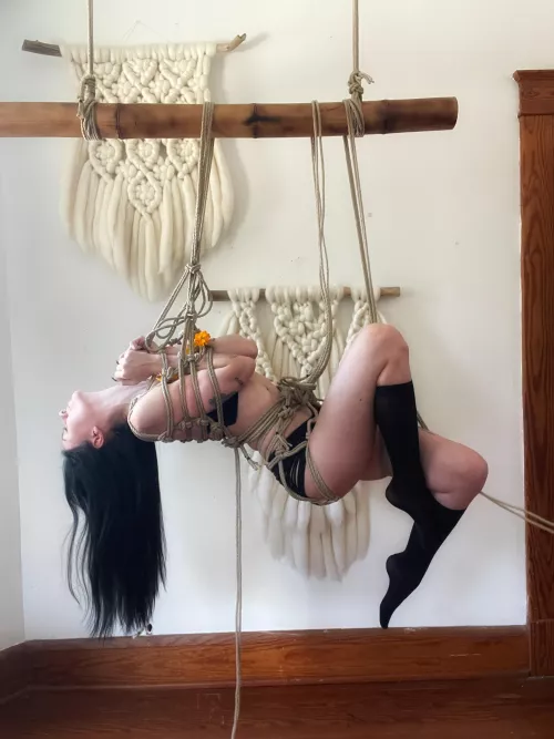 bamboo suspension :)