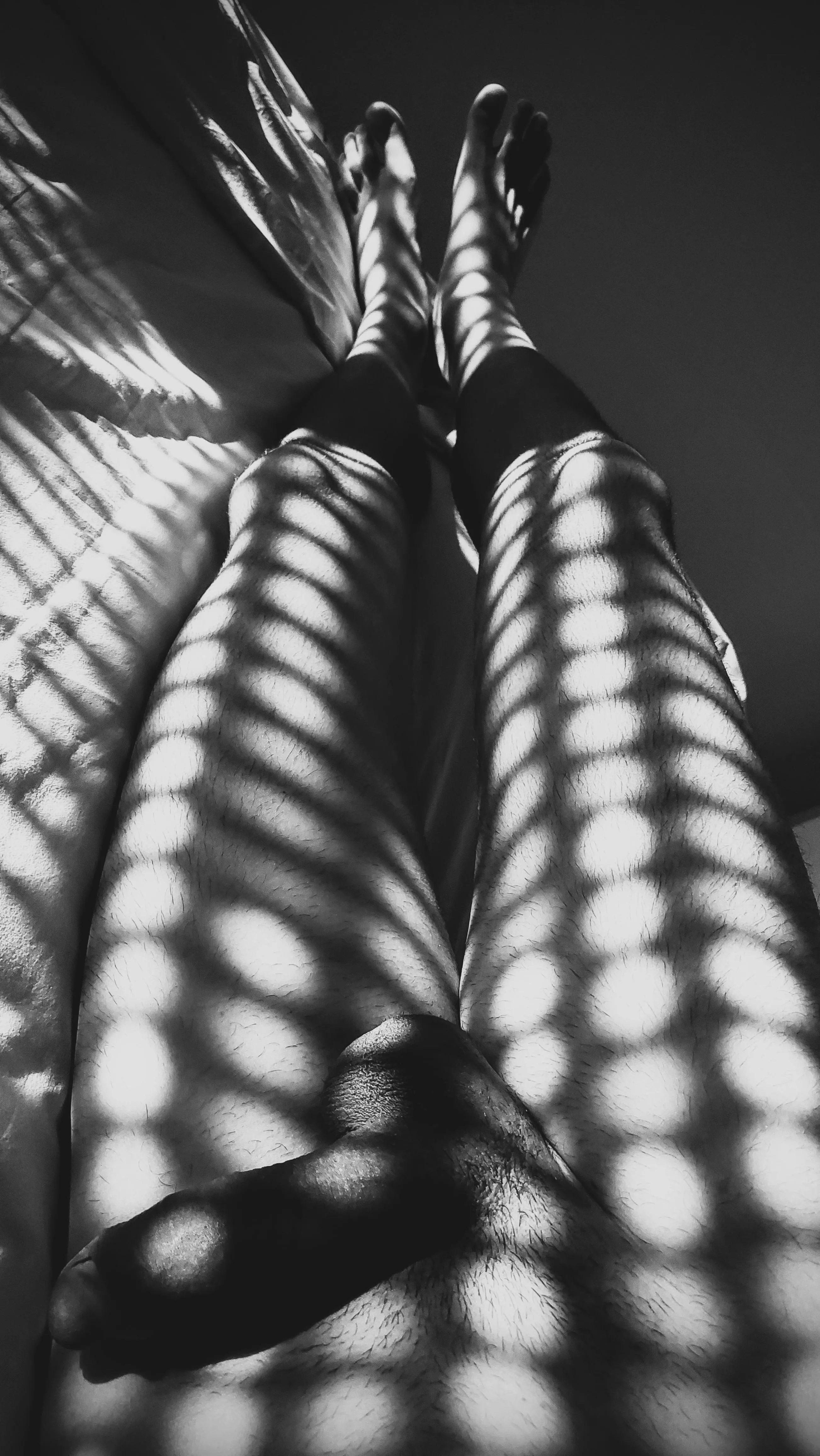 Dotted sunrise through the window 🦓