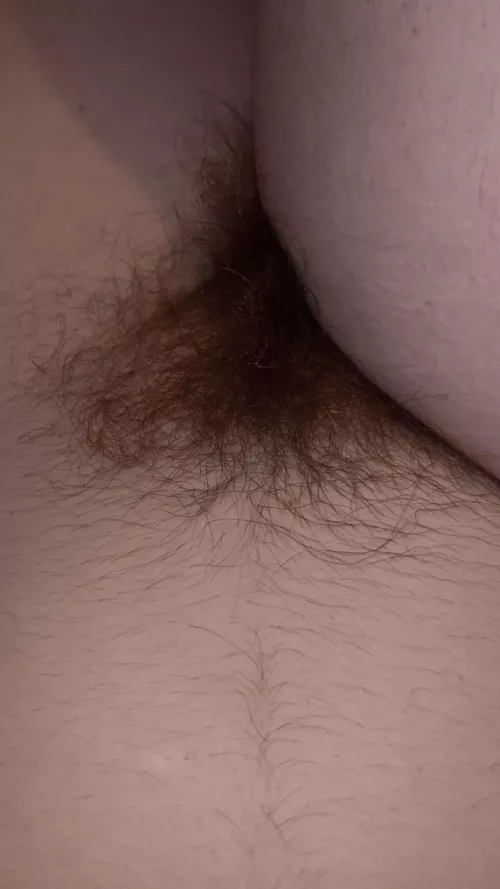 The perfect rug to curl up and take a nap on