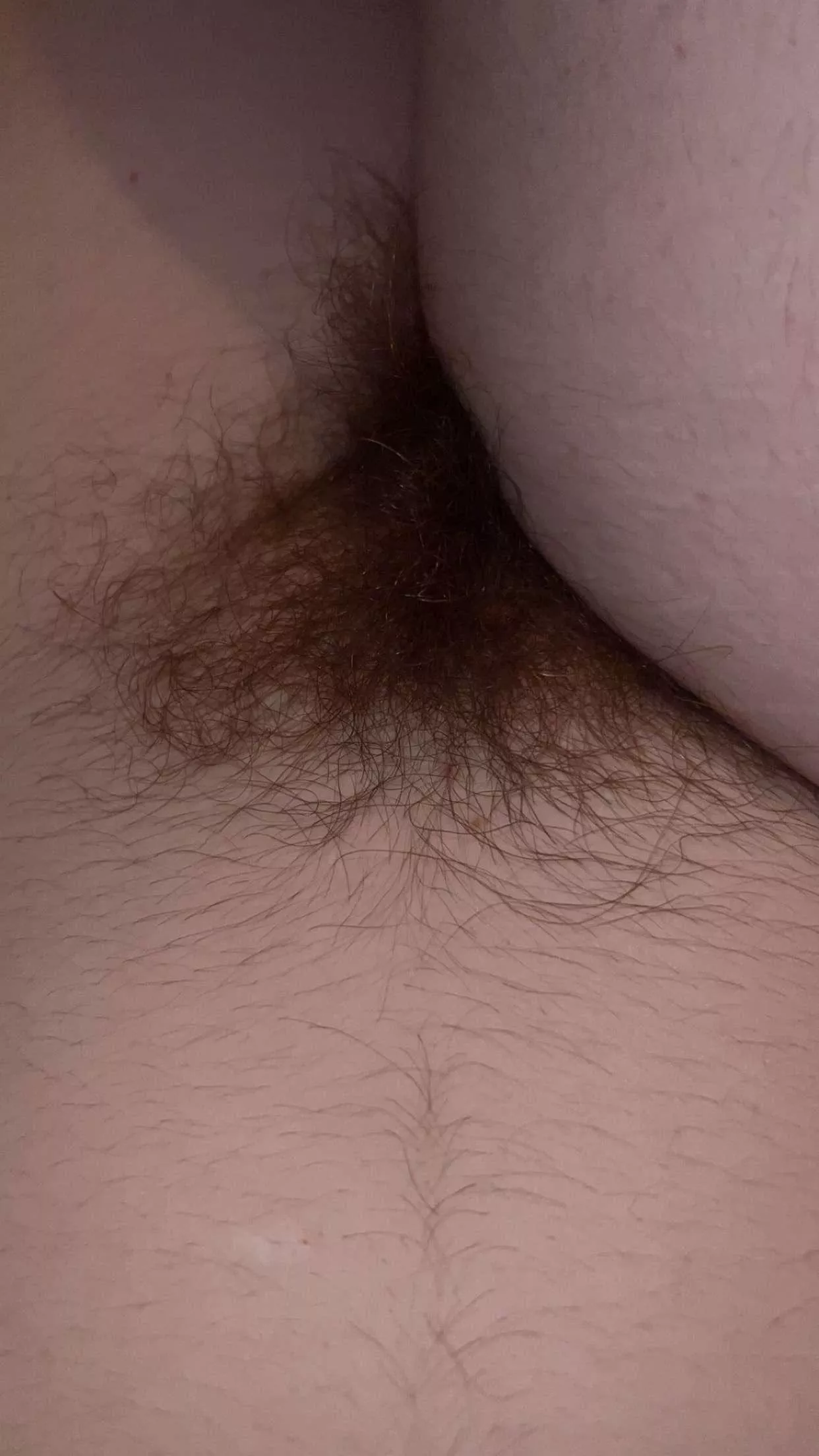 The perfect rug to curl up and take a nap on