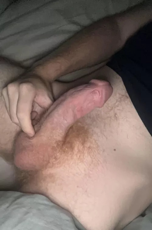 22 need help with my hairy cock, dm me :’)
