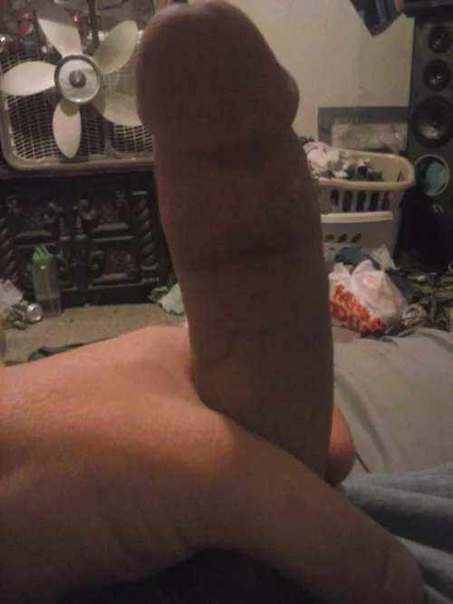 46 Who is up for a Wisconsin sausage this morning to suck on