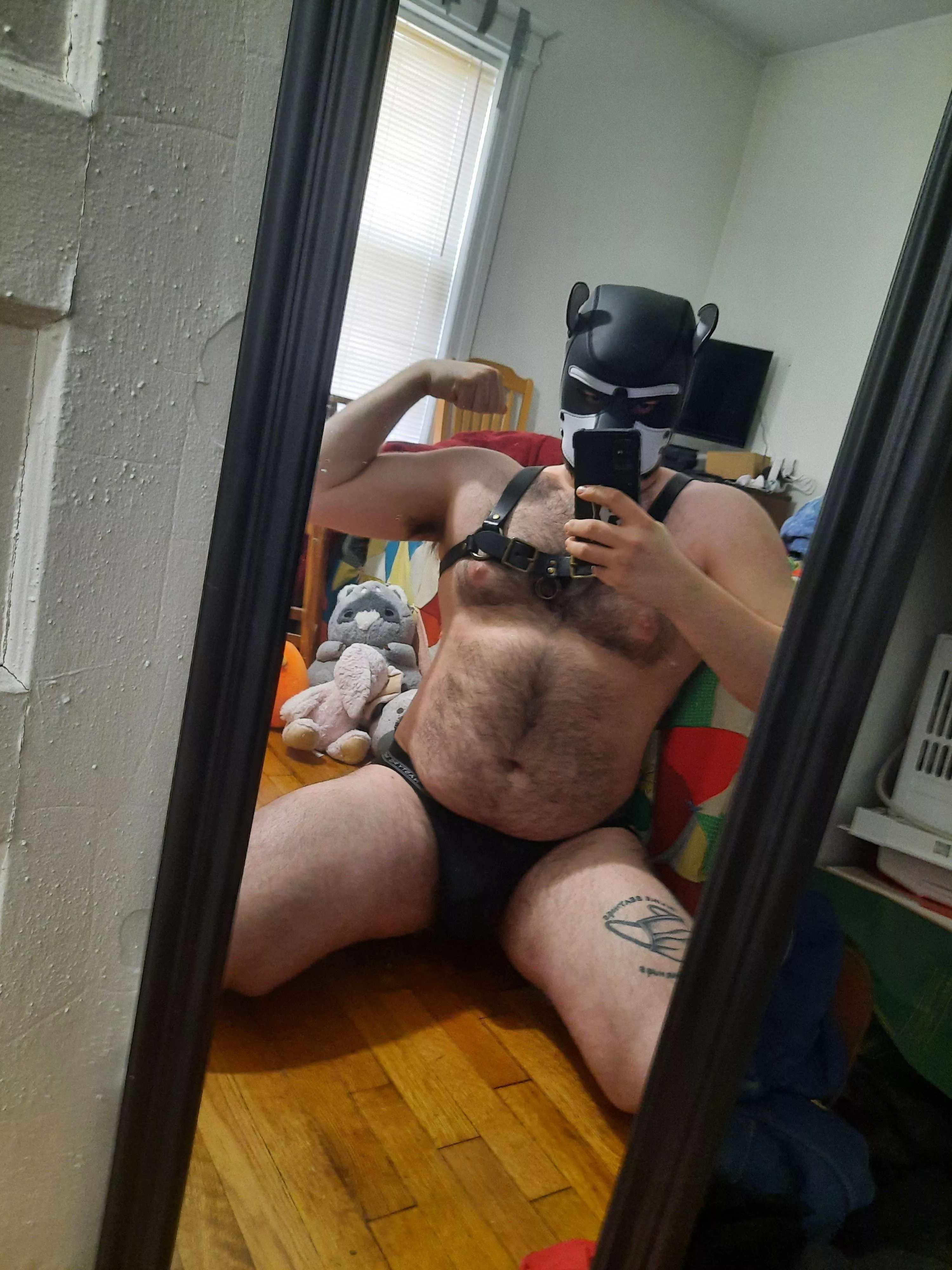 A I a big strong pup yet?