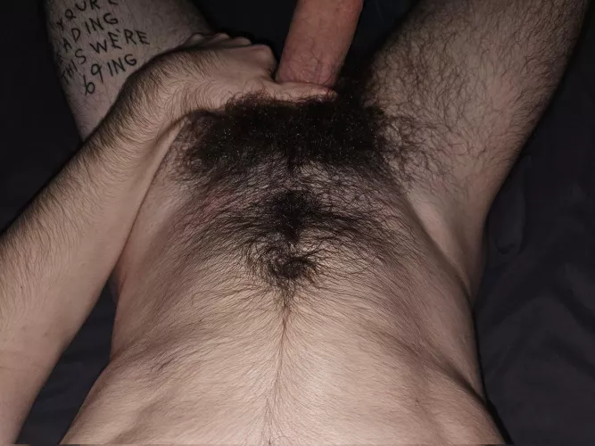 Bushy enough to be here?