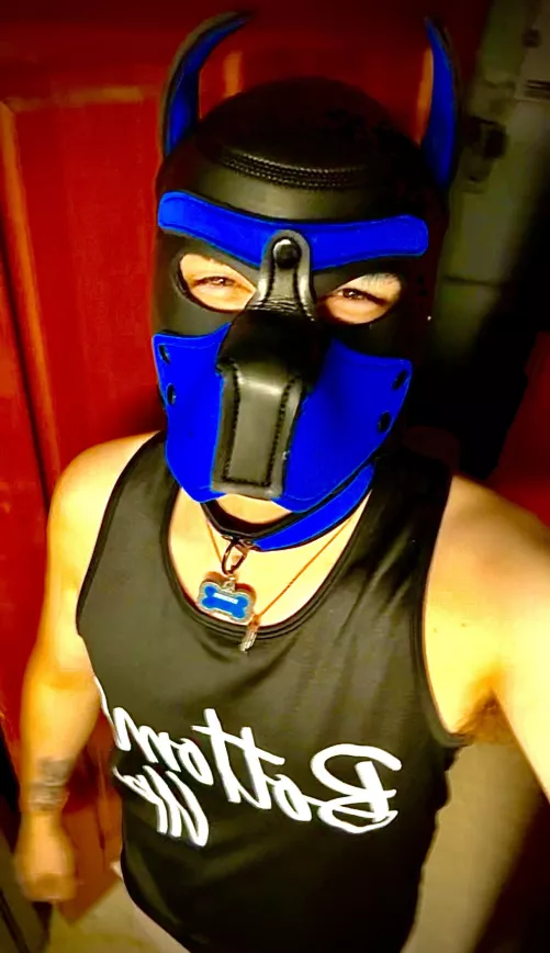 Decided to let my inner pup out at work 