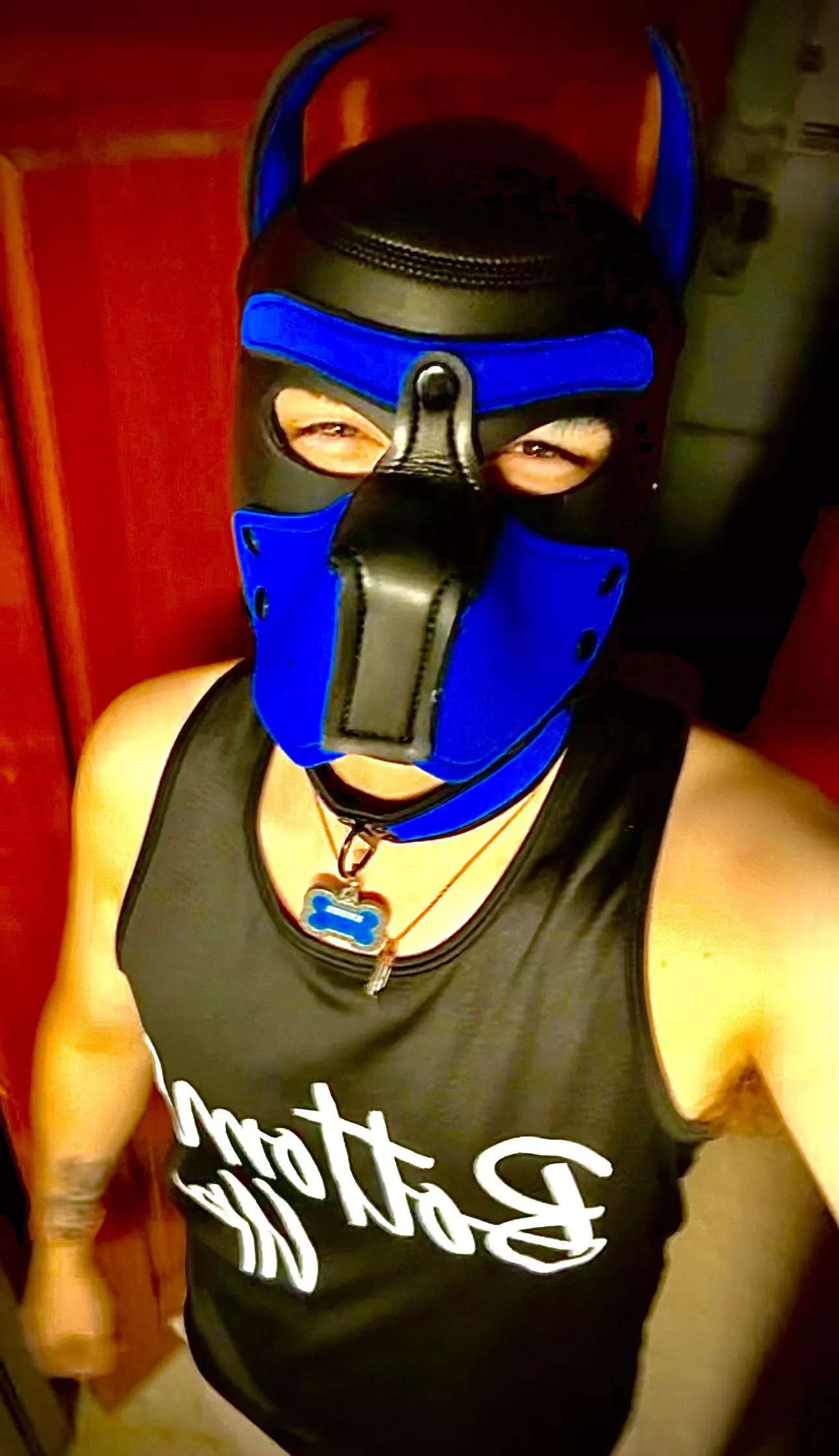 Decided to let my inner pup out at work 